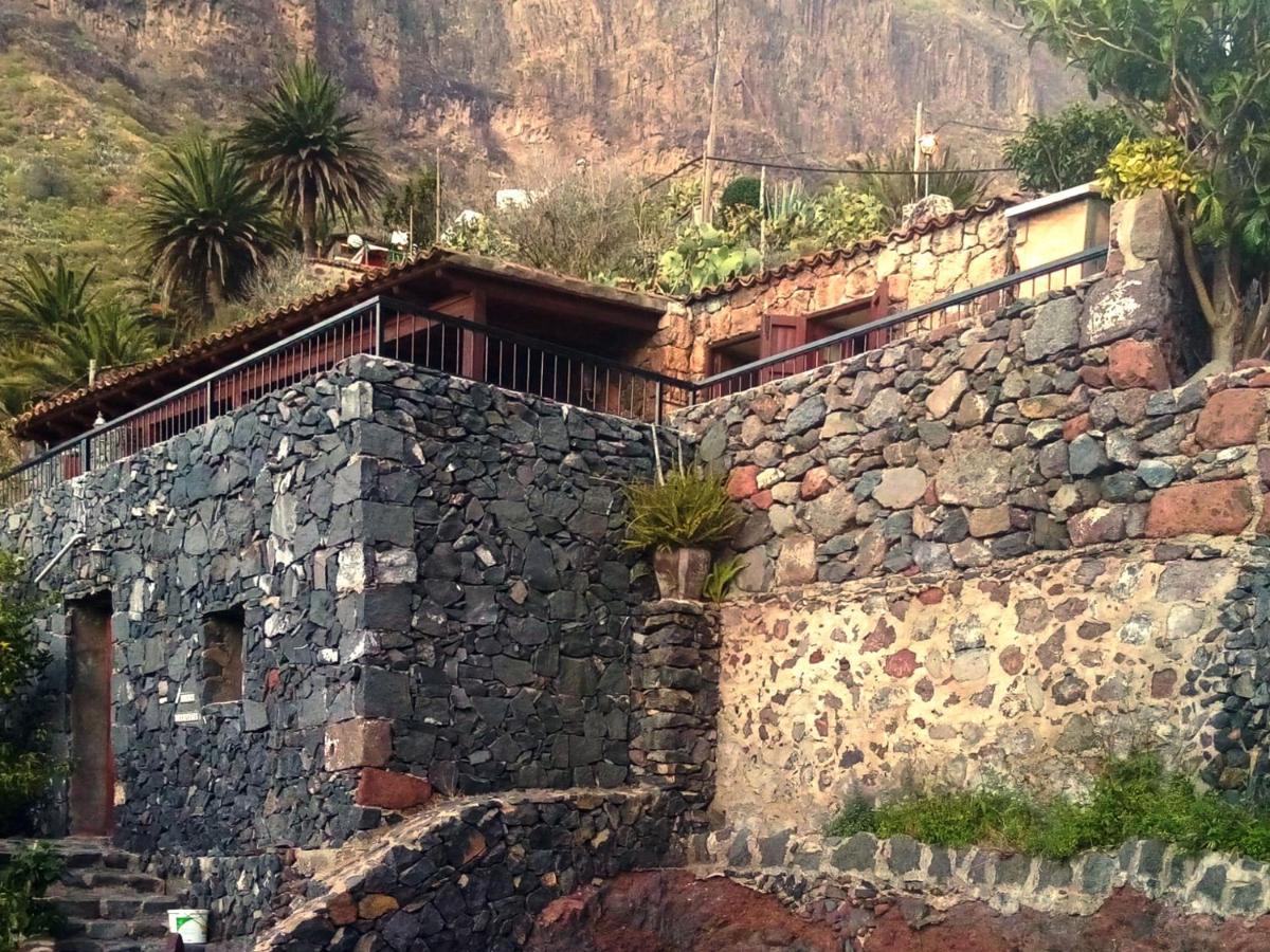 Live Masca Casatarucho Villa Buenavista Del Norte Eksteriør billede